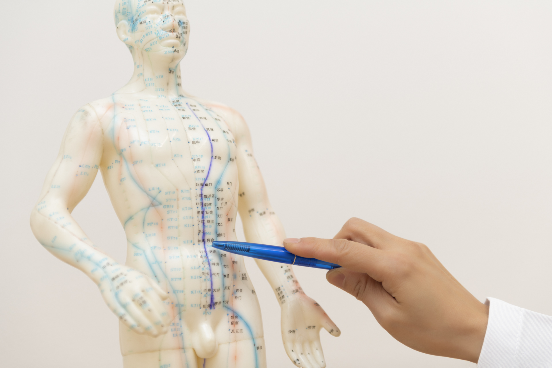 Dr-Di-Chen-Koenig-TCM-Akupunktur-Mensch